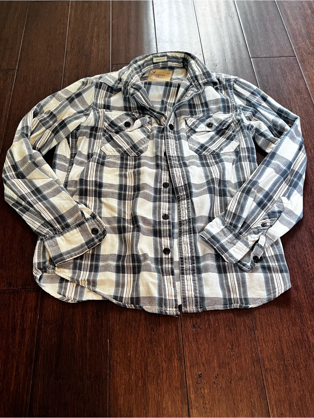 American Eagle Outfitters Blue & White Plaid Button-Down Shirt